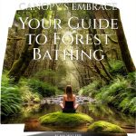 Walking for Exercise: A Comprehensive Guide for Beginners-0