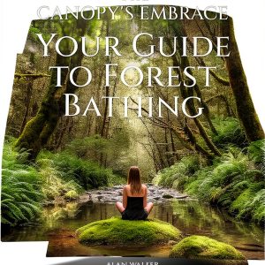Walking for Exercise: A Comprehensive Guide for Beginners-0