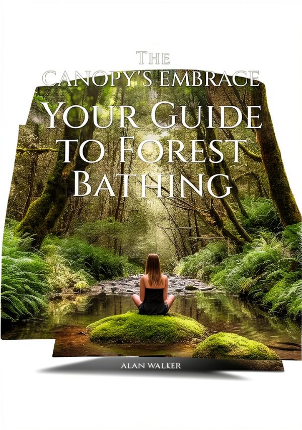 Walking for Exercise: A Comprehensive Guide for Beginners-0